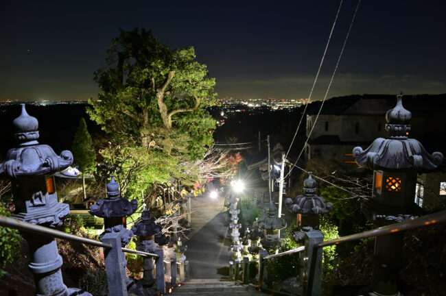 飯山観音長谷寺のライトアップの写真