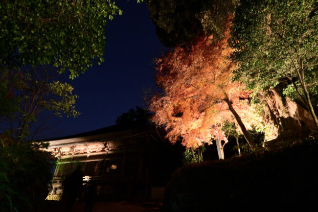 飯山観音の紅葉のライトアップの写真