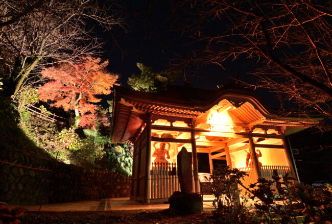 飯山観音長谷寺の紅葉ライトアップの写真