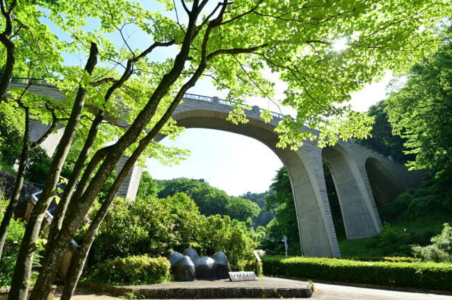 県立七沢森林公園森のかけはしの写真