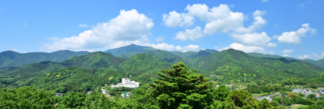 大山・鐘ヶ嶽の新緑の写真
