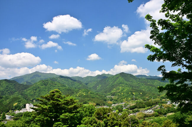 大山・鐘ヶ嶽の新緑の写真