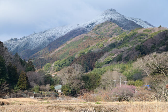 雪の鐘ヶ嶽の写真