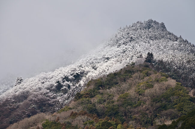 雪の鐘ヶ嶽の写真