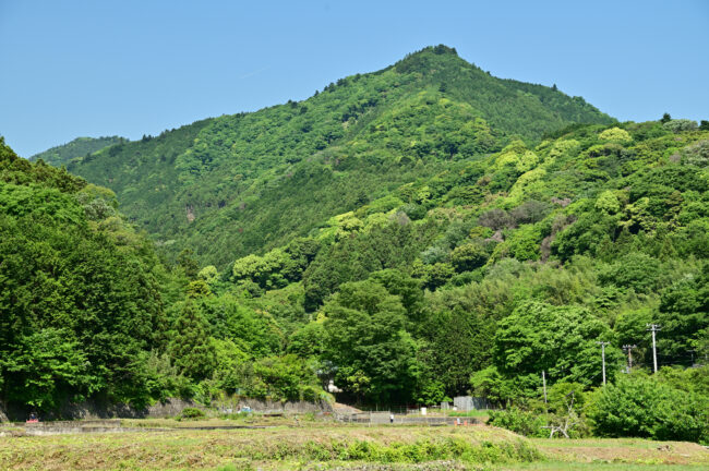 新緑の鐘ヶ嶽の写真