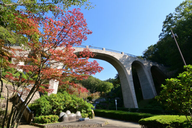 県立七沢森林公園の紅葉の写真