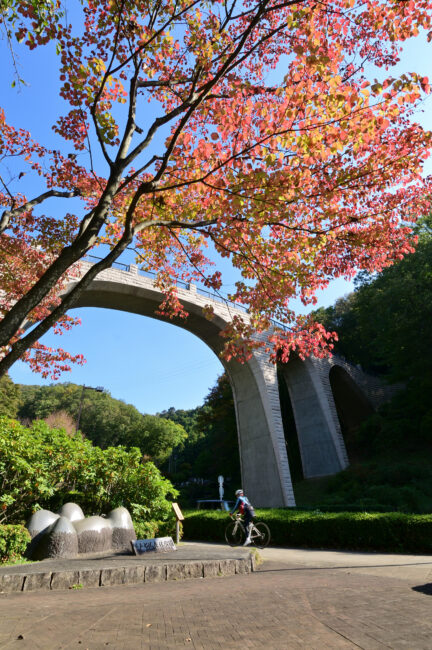 県立七沢森林公園の紅葉の写真