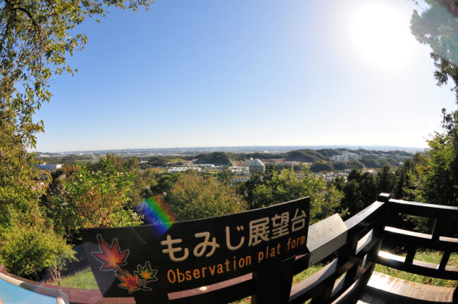 県立七沢森林公園のもみじ展望台からの眺望の写真