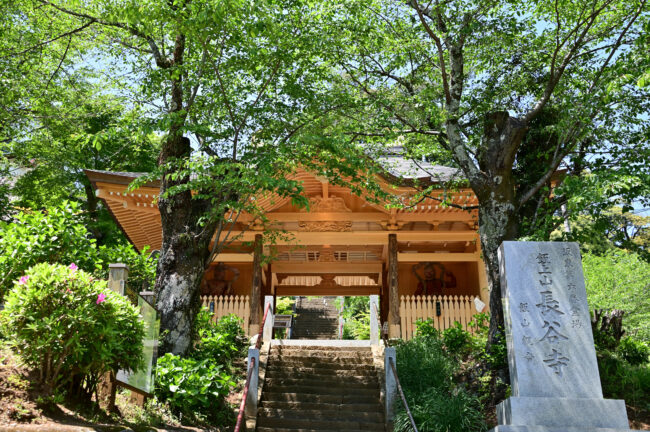 飯山観音長谷寺のアジサイの写真