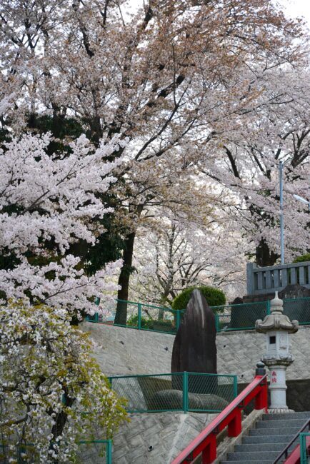 三嶋神社の写真