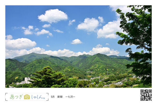 新緑の大山と鐘ヶ嶽・県立七沢森林公園から・あつぎ絵はがき
