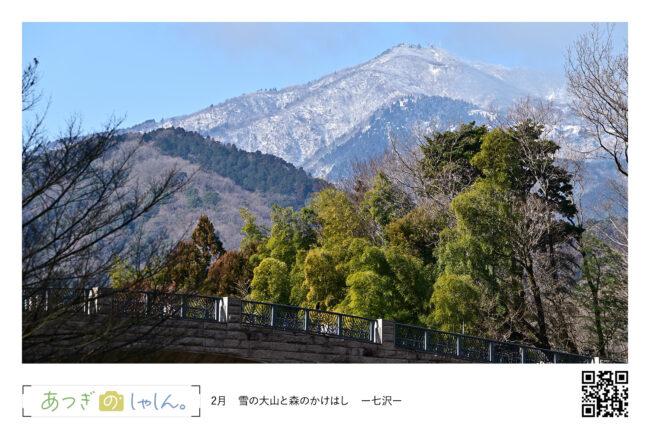 県立七沢森林公園からの雪の大山・あつぎ絵はがき