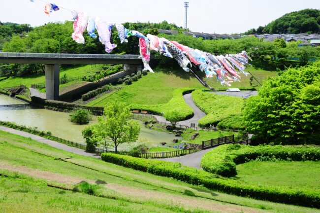 若宮公園のこいのぼり