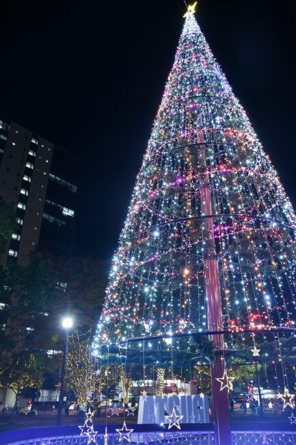 イルミネーション厚木中央公園