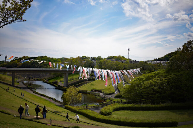 若宮公園のコイノボリ