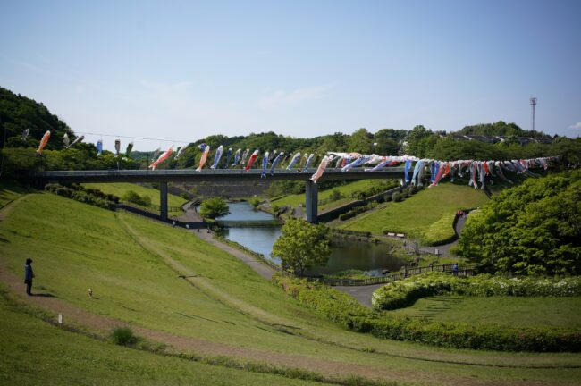 若宮公園のこいのぼり