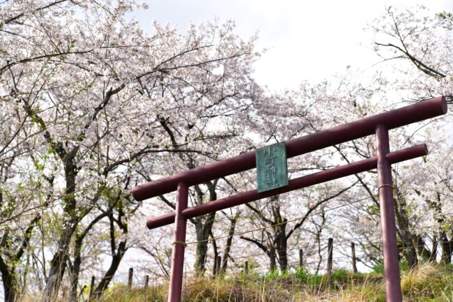 小町神社の写真