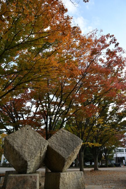 厚木中央公園の紅葉の写真