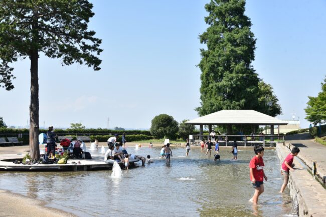 ぼうさいの丘公園