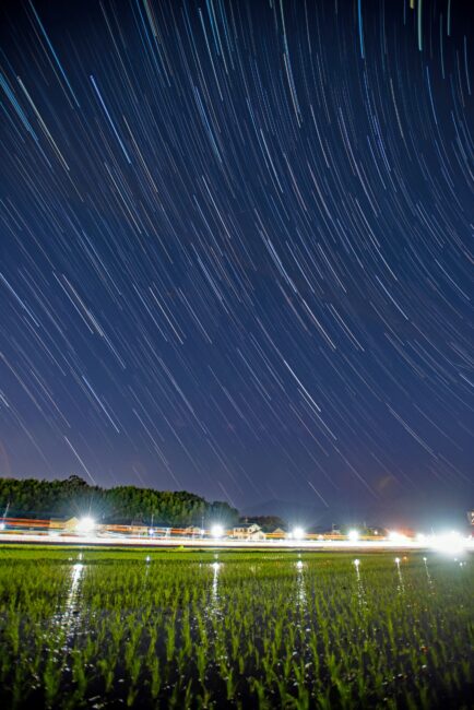 夜景と田んぼ