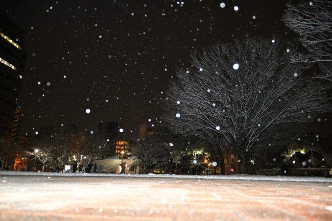 中央公園の雪