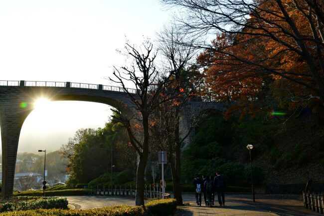 七沢森林公園