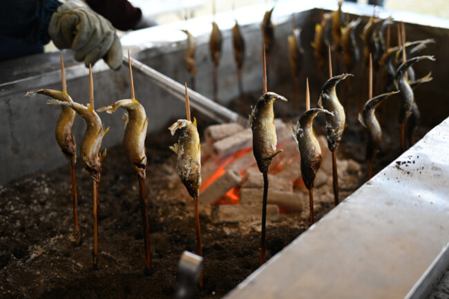 鮎塩焼きの写真