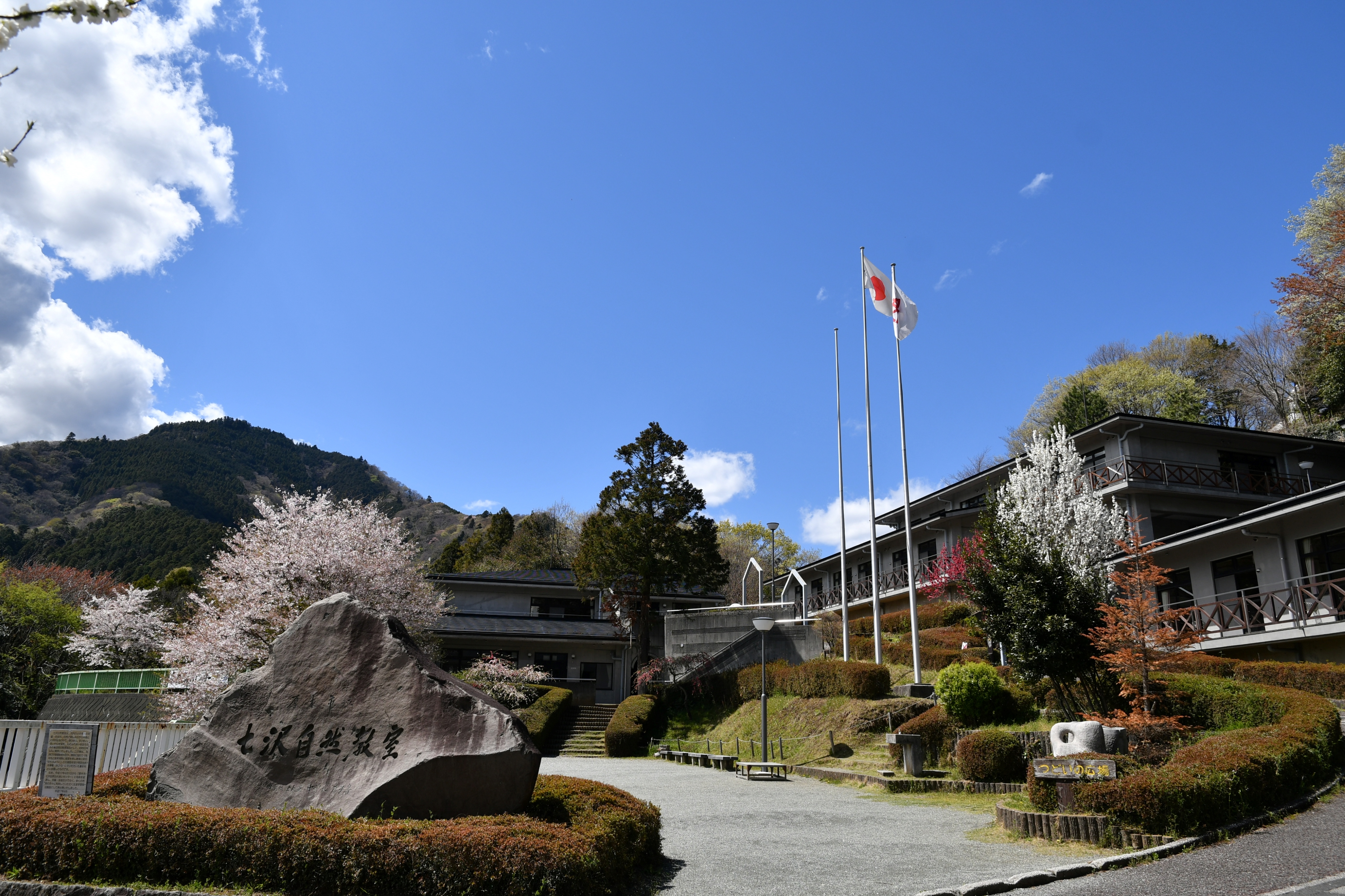 活動歴および当時の関連ビジュアル記録