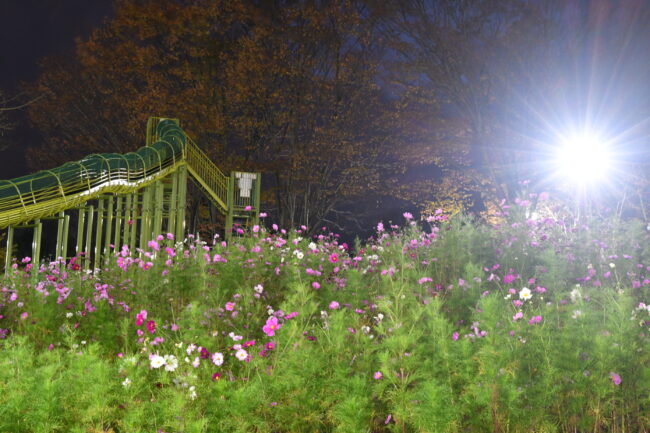 荻野運動公園