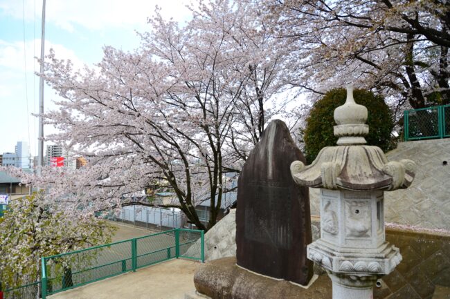 三嶋神社の写真