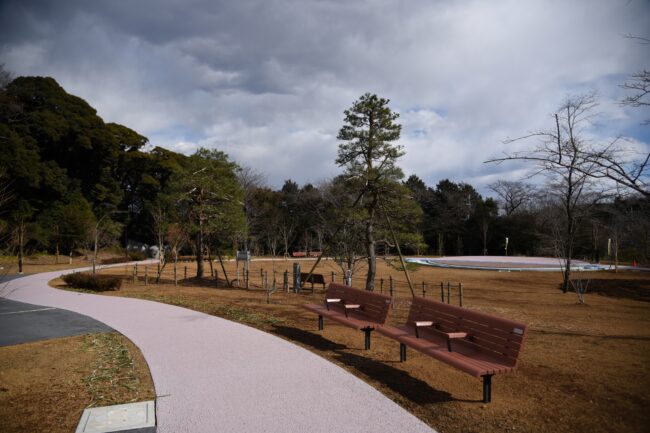 飯山桜の広場