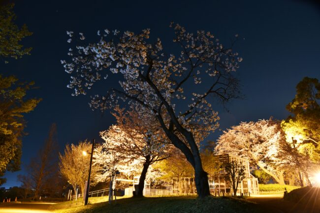 ぼうさいの丘公園