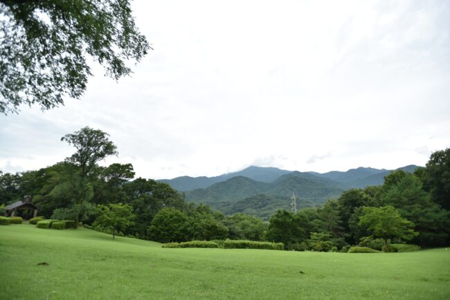 七沢森林公園