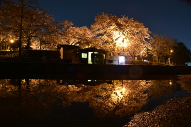 ぼうさいの丘公園