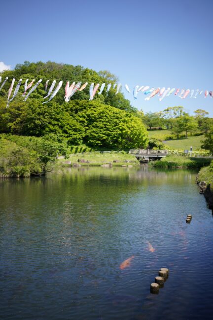 若宮公園のこいのぼり