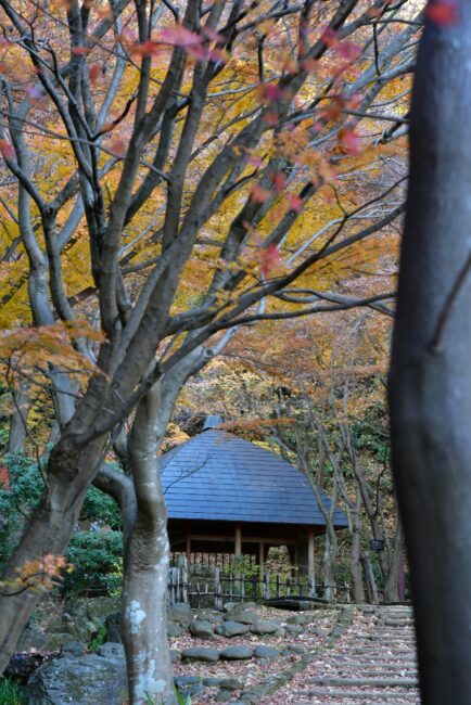 七沢森林公園