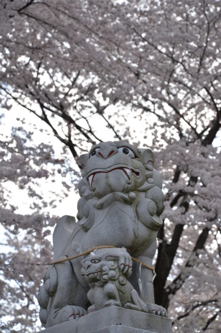 三嶋神社の写真