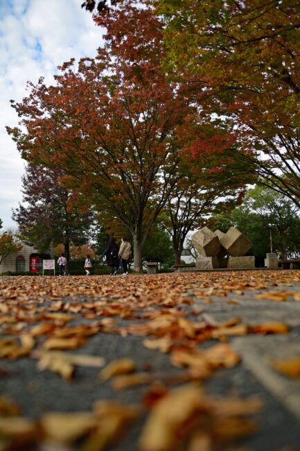 厚木中央公園