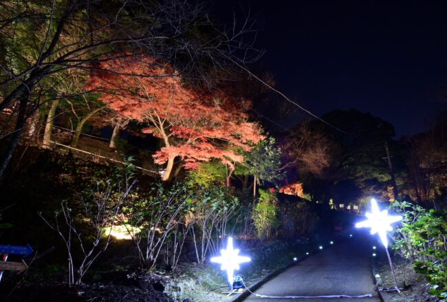 飯山ライトアップ＆秋のキャンペーンの写真