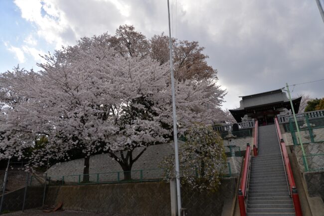 三嶋神社の写真