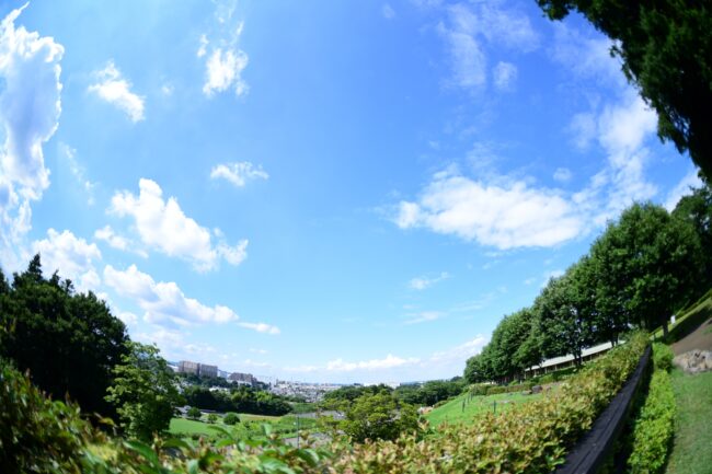 ぼうさいの丘公園