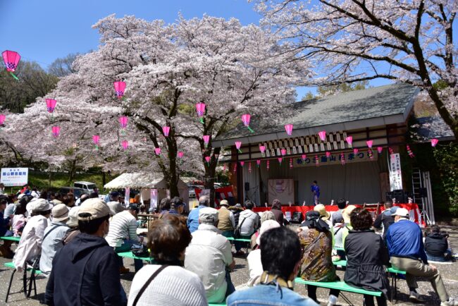 あつぎ飯山桜まつりの写真