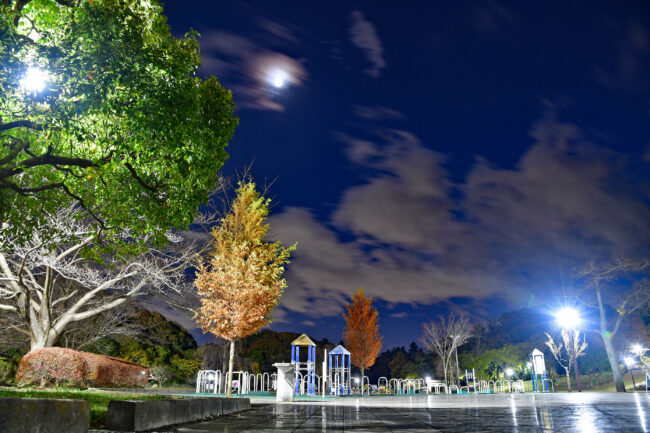 荻野運動公園