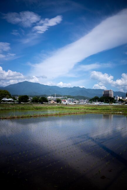 恩名の水田と大山