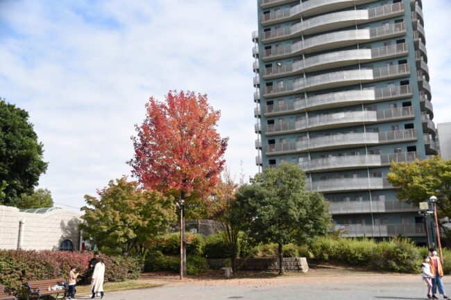 中央公園の紅葉