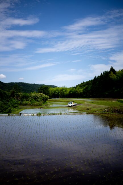 七沢の田園風景