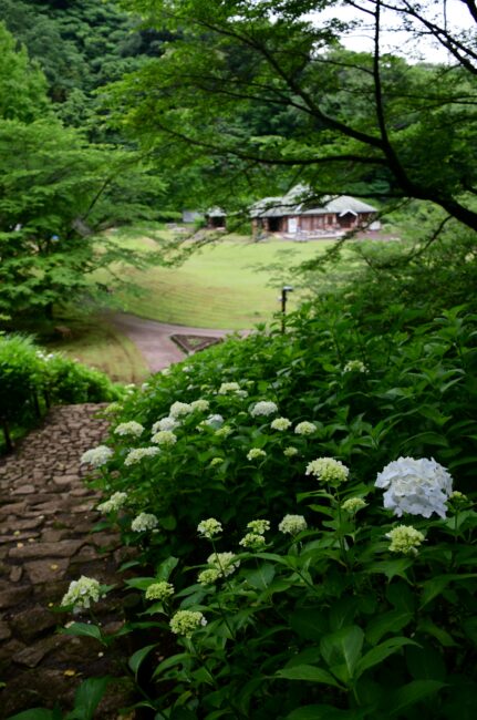 七沢森林公園