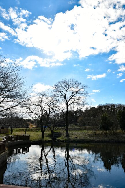 広町公園