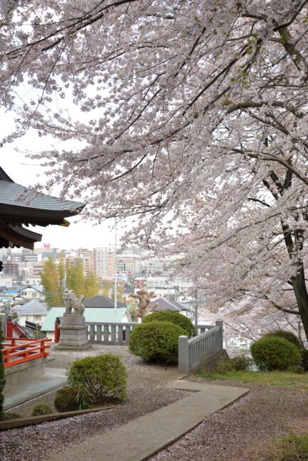 三嶋神社の写真