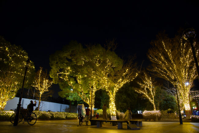 厚木中央公園のイルミネーション